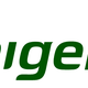 Image for article titled From elephants to eagles: the evolving brands of Nigeria’s unsuccessful national airlines